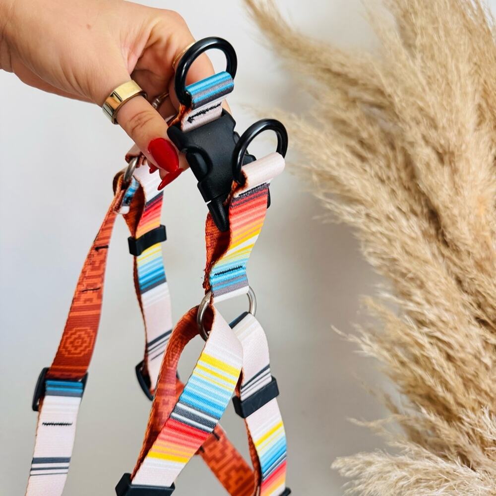NEW LEEDS Califia Cream Orange Stripe Buckle Dog Collar Step In Harness $85 Set - Picture 11 of 13